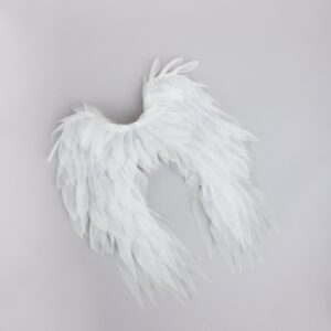 Heaven Sent Angel Wings